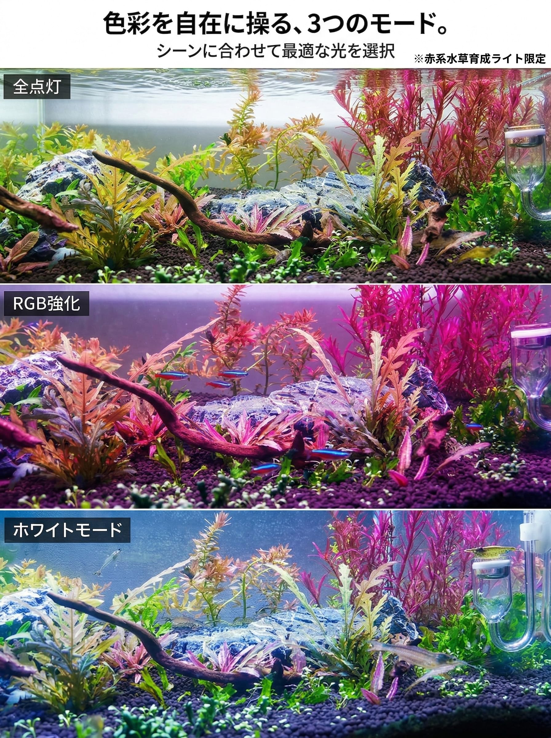 Amazon.co.jp: 水草育成ライト 水槽ライト 高輝度 高光量 水草水槽